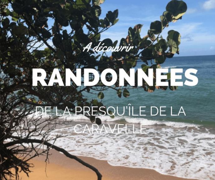 Ananas Premium - Sejour Detente T2 Vue Mer Avec Balcon Prive A Tartane La Trinite Luaran gambar